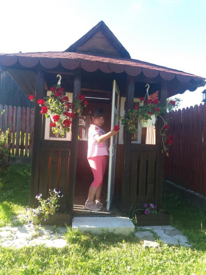 Pensiunea Alunis Hotel Sadova  Exterior foto
