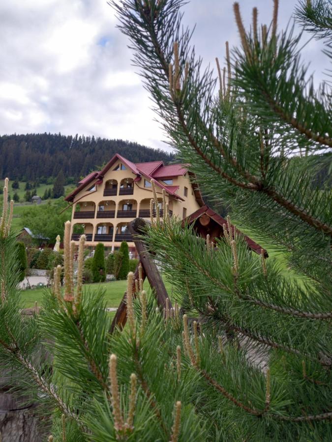 Pensiunea Alunis Hotel Sadova  Exterior foto