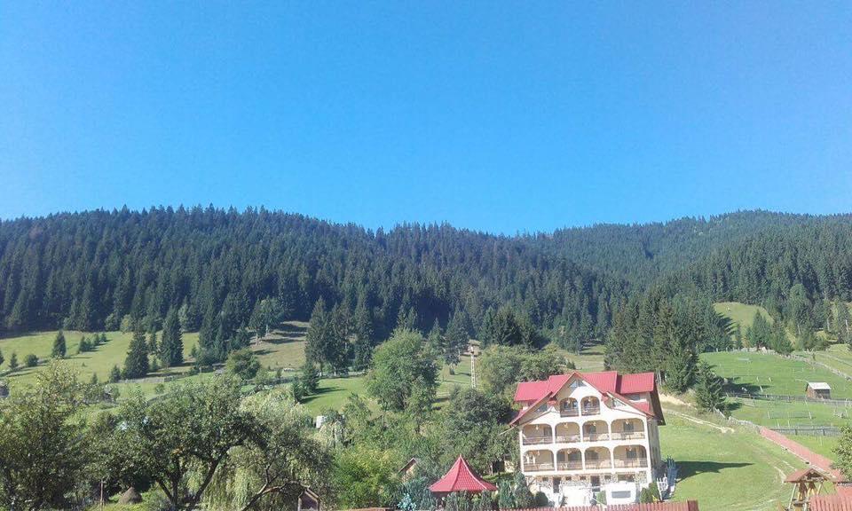 Pensiunea Alunis Hotel Sadova  Exterior foto